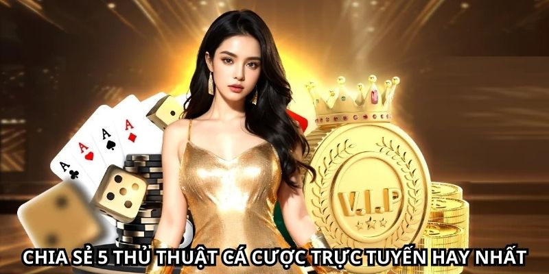 Bí kíp cá cược thiết thực dựa trên dữ liệu nền tảng