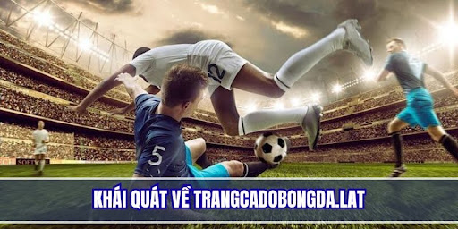 Tổng quan sơ lược về trang web cá cược bóng đá